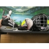 Image 1 : PAIR OF SZ YOUTH 11 SKATES & A SM. HELMET