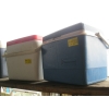 Image 1 : 2 SMALL COOLERS
