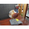 Image 2 : RINGNECK PHEASANT