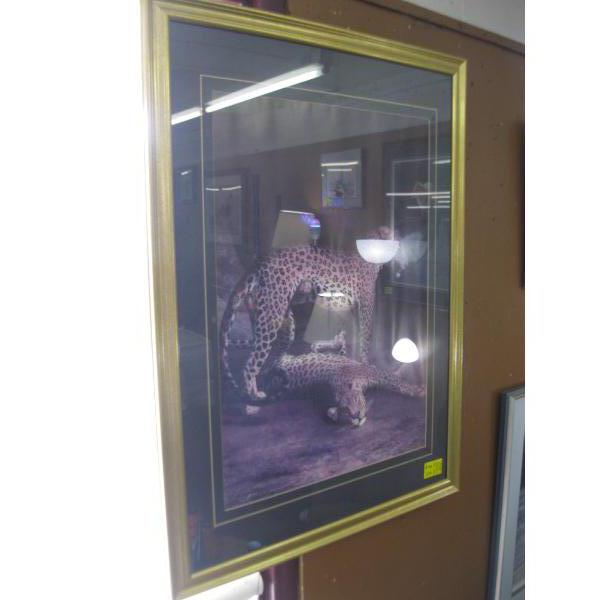 CHEETAH/LEOPARD PICTURE