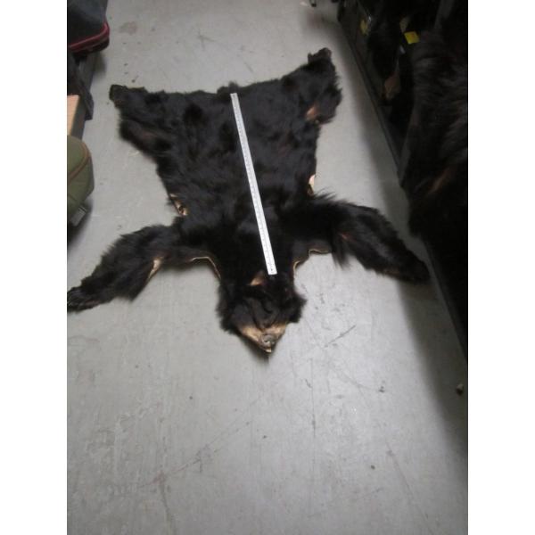TANNED BLACK BEAR HIDE