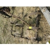 Image 1 : SPRINGTOOTH CULTIVATOR