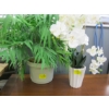 Image 1 : 1 ARTIFICIAL PLANT & 1 POT W/ARTIFICIAL FLOWERS 