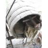 Image 3 : BARRELL HAND CRANK WASHING MACHINE
