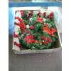 Image 2 : 3 CONTAINERS OF CHRISTMAS DÉCOR