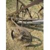 Image 3 : SINGLE PLOW