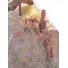 Image 1 : PULL BEHIND CULTIVATOR - RUSTY YARD ART