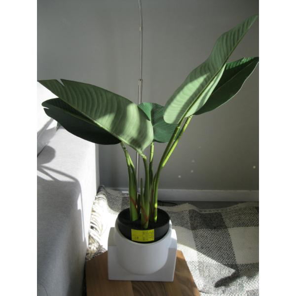 ARTIFICIAL PLANT