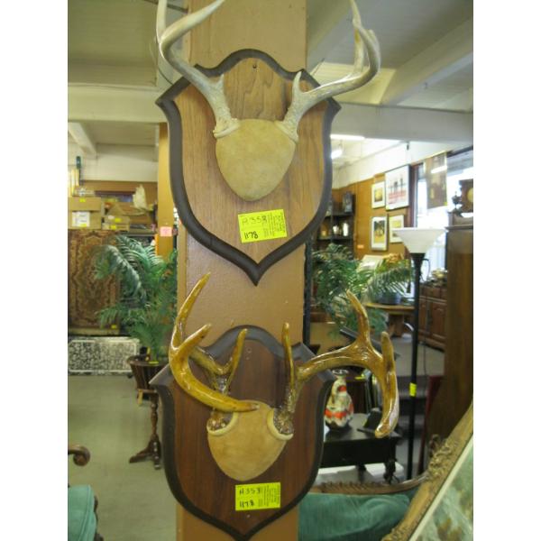 2 SETS OF MOUNTED HORNS