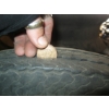 Image 4 : 5+1 VINTAGE GOODYEAR - 800-19.5" TIRES W/EXTRA TIRE & RIM