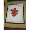 Image 4 : 2 FRAMED LEAF PICTURES & BEAR & FISH CANVAS PICTURE