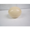 Image 2 : OSTRICH EGG