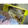 Image 2 : BASKET OF ASST. GLOVES