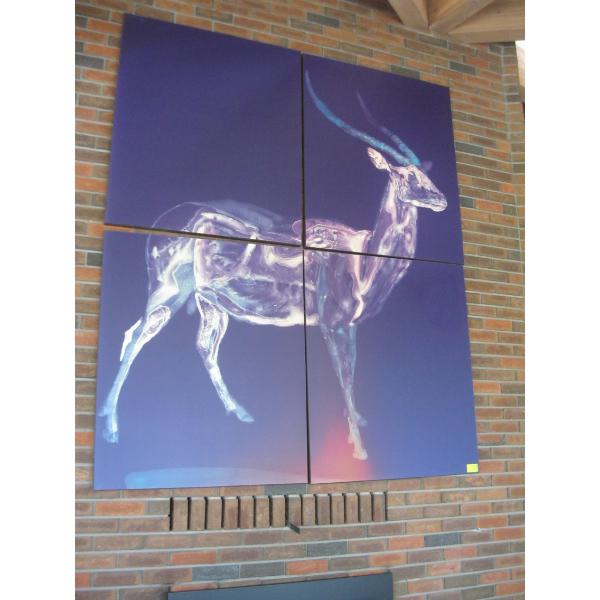 LG. 4 PIECE PICTURE OF AFRICAN  GAZELLE