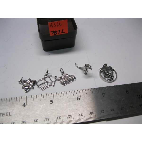 5 BRACELET CHARMS
