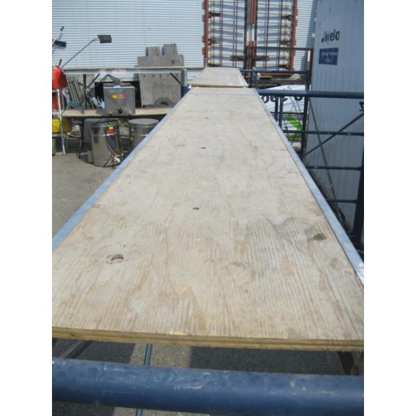 75LB SCAFFOLD PLANT - 10'