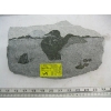 Image 1 : ETCHING CARVING  SOAPSTONE BY SIKU OF A LOON