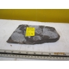 Image 2 : SHELL FOSSIL ON BOTH SIDES