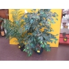Image 1 : 2 ARTIFICIAL PLANTS