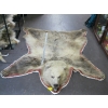 Image 1 : TANNED GRIZZLY HIDE WITH HEAD MOUNT