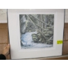 Image 1 : NUMBERED FRAMED PRINT -VALHALLA PROV. PARK, BC