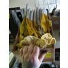 Image 1 : ASST. GLOVES