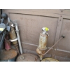 Image 5 : VARIOUS GAS & OIL PUMPS