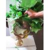 Image 3 : GOLD PLANT STAND W/CONTENTS