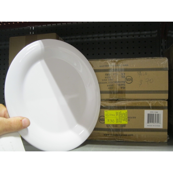 2 DZ. 10" DINNER PLATES
