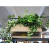 Image 1 : ARTIFICIAL PLANTS