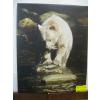 Image 2 : 2 FRAMED LEAF PICTURES & BEAR & FISH CANVAS PICTURE