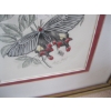 Image 2 : 2 FRAMED PICTURES - BUTTERFLY & THE PATIO