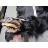 Image 3 : TANNED BLACK BEAR HIDE