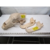 Image 1 : BEAR SKULL W/LOWER JAW