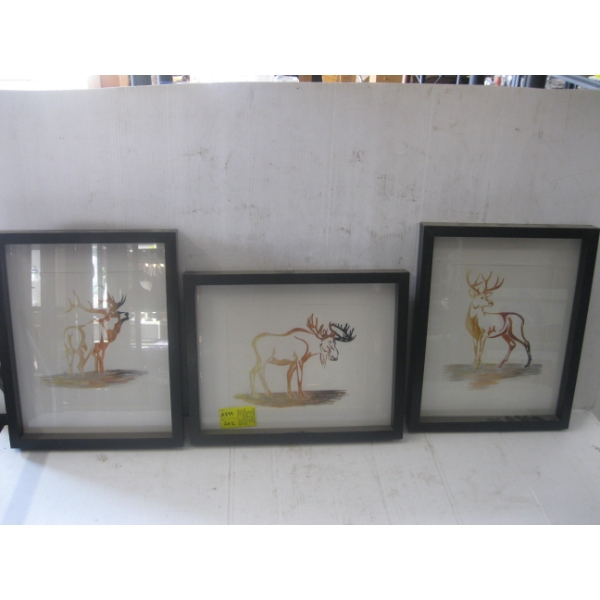 3 FRAMED PICTURES OF ANIMALS