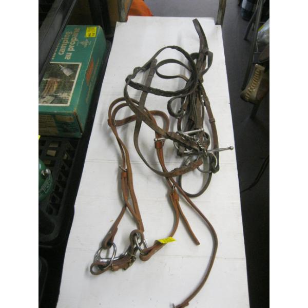 2 BRIDLES