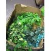 Image 2 : DECORATIVE ARTIFICIAL PLANTS