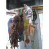 Image 1 : WOODEN HANGING FISH, CHICKEN MOLDS, ETC.