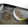 Image 4 : 6 PAILS OF ASST. BOLTS, ETC.