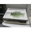 Image 3 : CANVAS PICTURES, WOOD PICTURES, ETC.