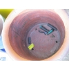 Image 2 : 2 BLUE POTS & TERRA COTTA POT
