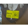 Image 3 : 1 SET OF ANTLERS
