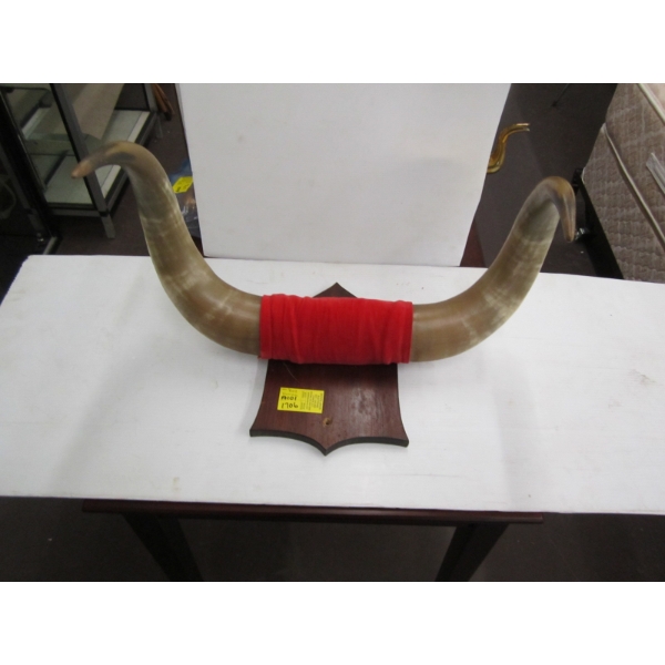 SET OF BULL HORNS