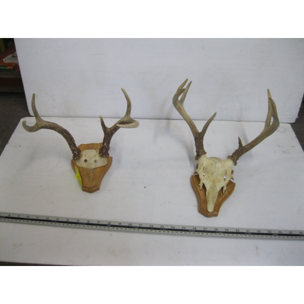 2 SETS OF DEER HORNS ON PLAQUES