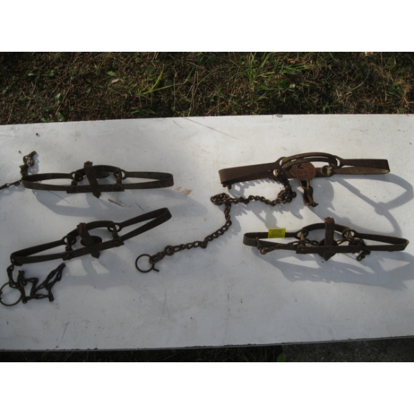 4 DOUBLE SPRING TRAPS