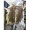 Image 1 : TANNED HIDE