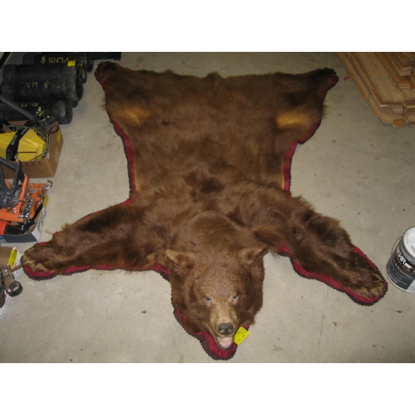 BROWN BEAR RUG W/HEAD MOUNT