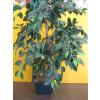 Image 3 : 2 ARTIFICIAL PLANTS