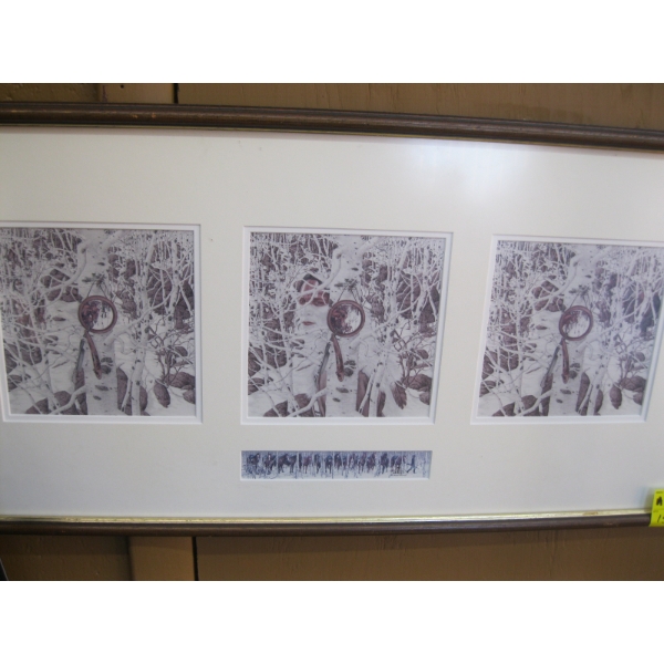 3 PICTURE FRAMED PICTURE