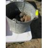 Image 2 : BUCKET W/ASST. WEIGHTS